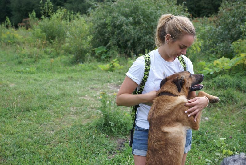 девушка, собака, приют