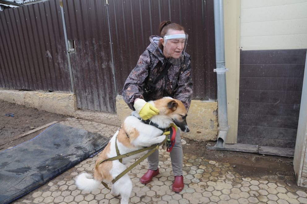 На волю, в пампасы!