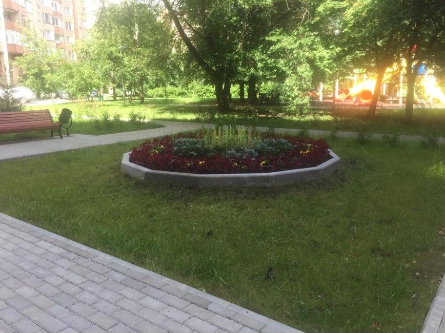 Черемушки, благоустройство, мой район