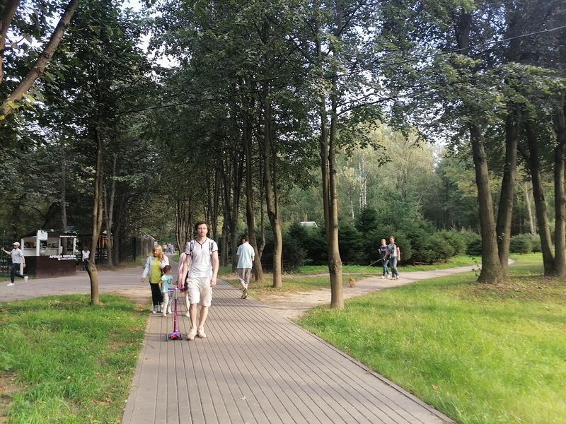 парк, дорожки, самокат