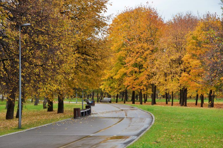 парки Москвы, осень в Москве
