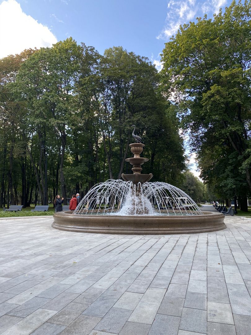 Фонтан, украшенный лебедем-кликуном, в парке Северного речного вокзала. фото Дарья Богомолова