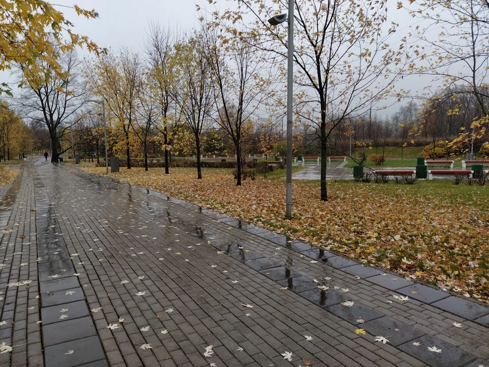 осень, дорожка, листья, скамейки