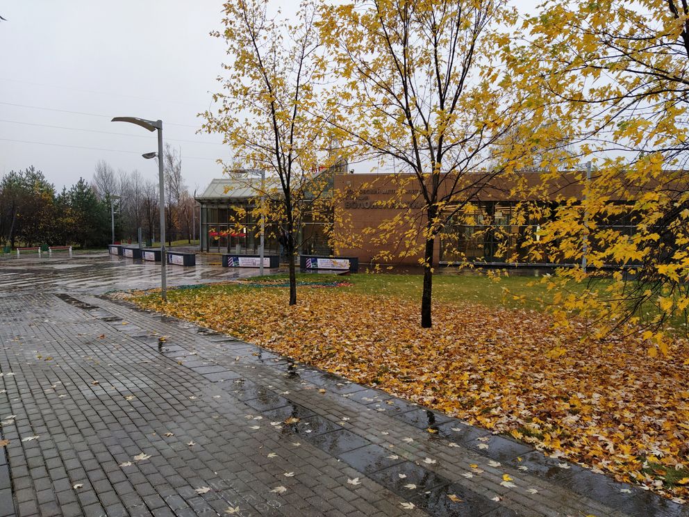 осень, метро, листья