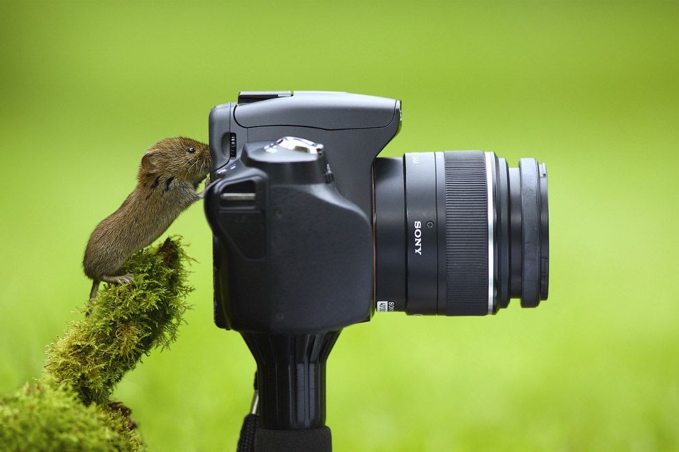 фотоконкурс