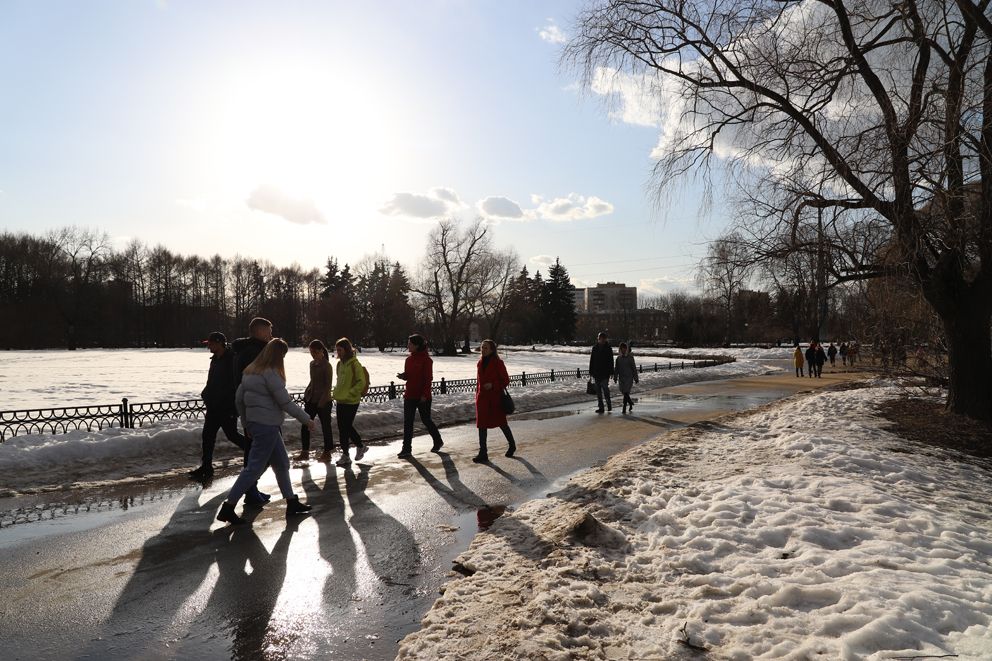 Ботанический сад, парки Москвы, весна в Москве