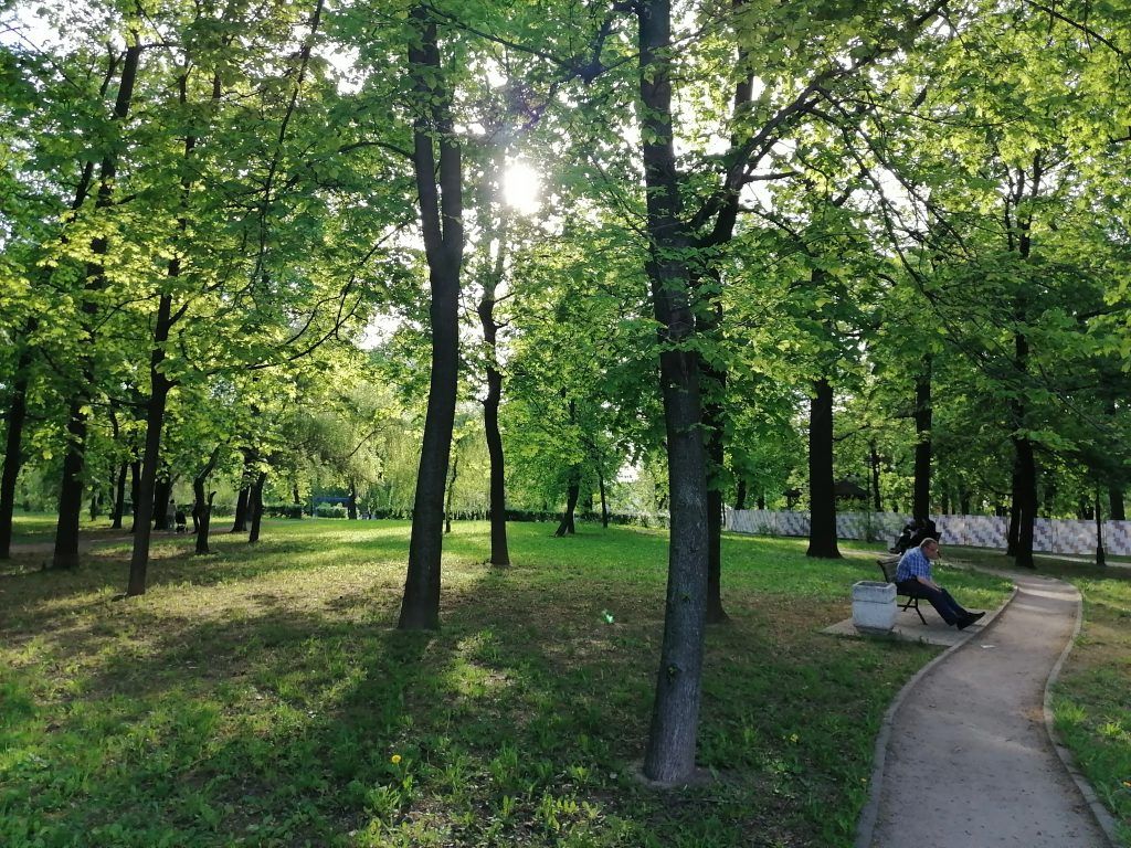 Славянский парк, благоустройство