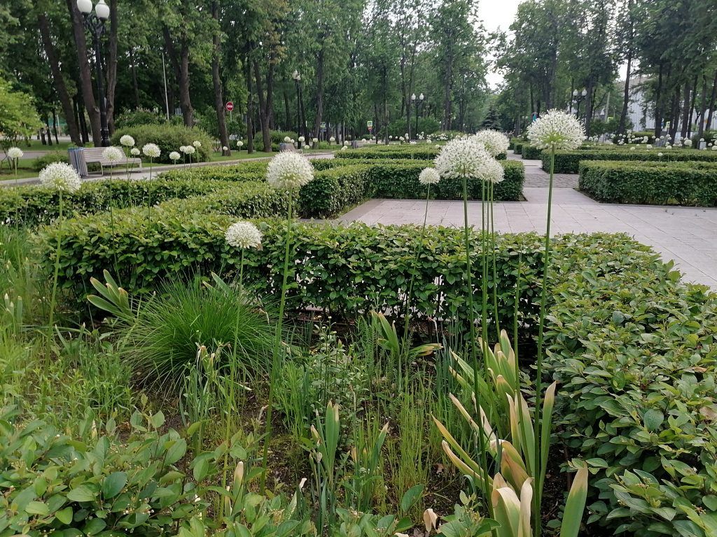 аллея славы, Лужники