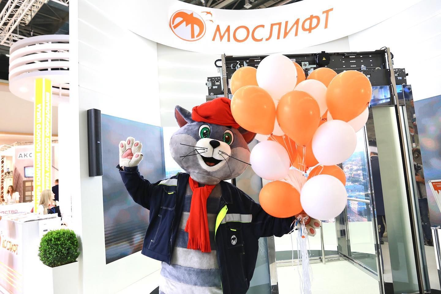 мослифт