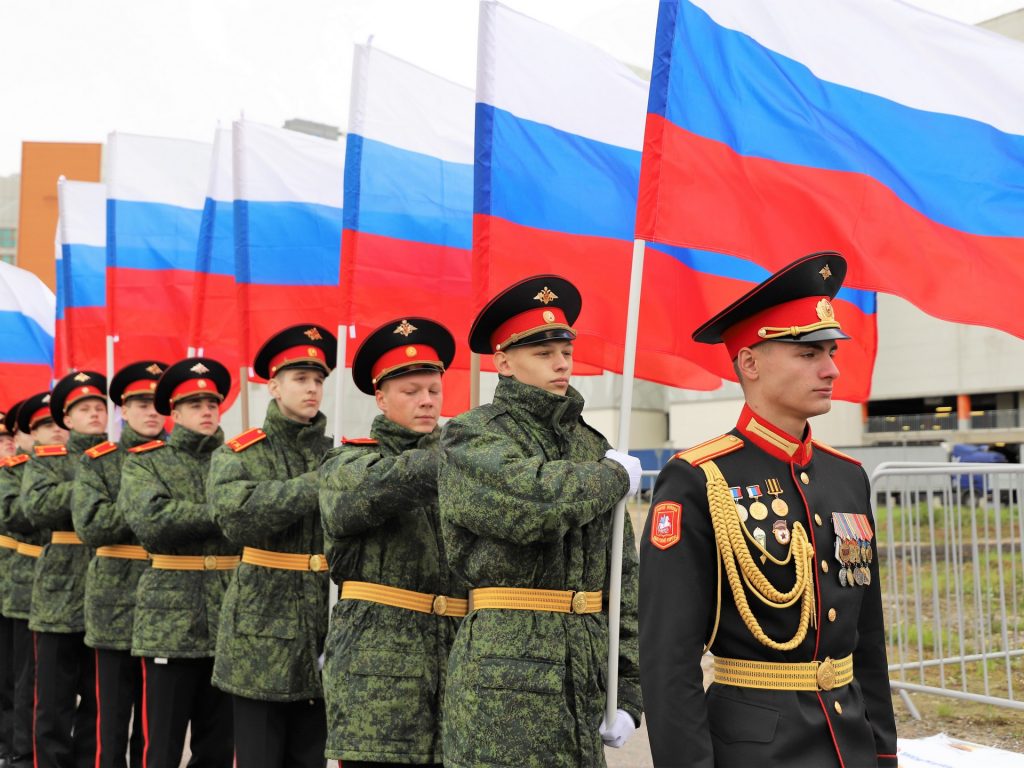 аллея славы, кедры, благоустройство, озеленение