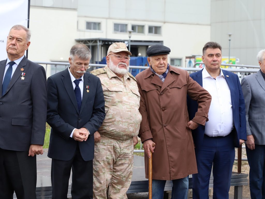 аллея славы, кедры, благоустройство, озеленение
