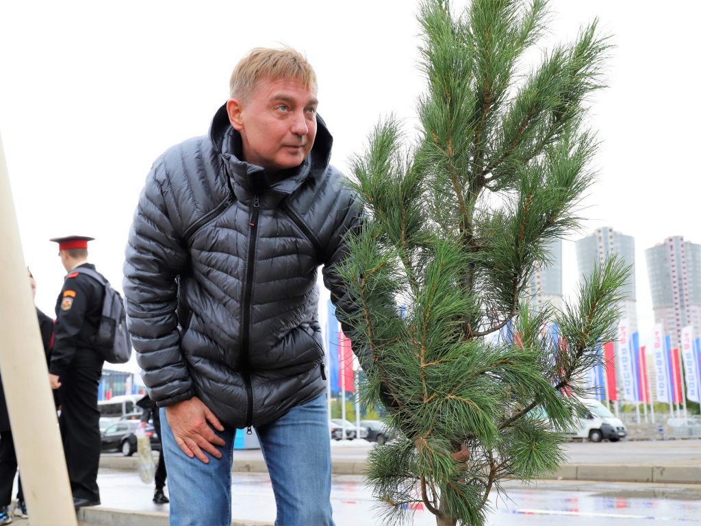 аллея славы, кедры, благоустройство, озеленение