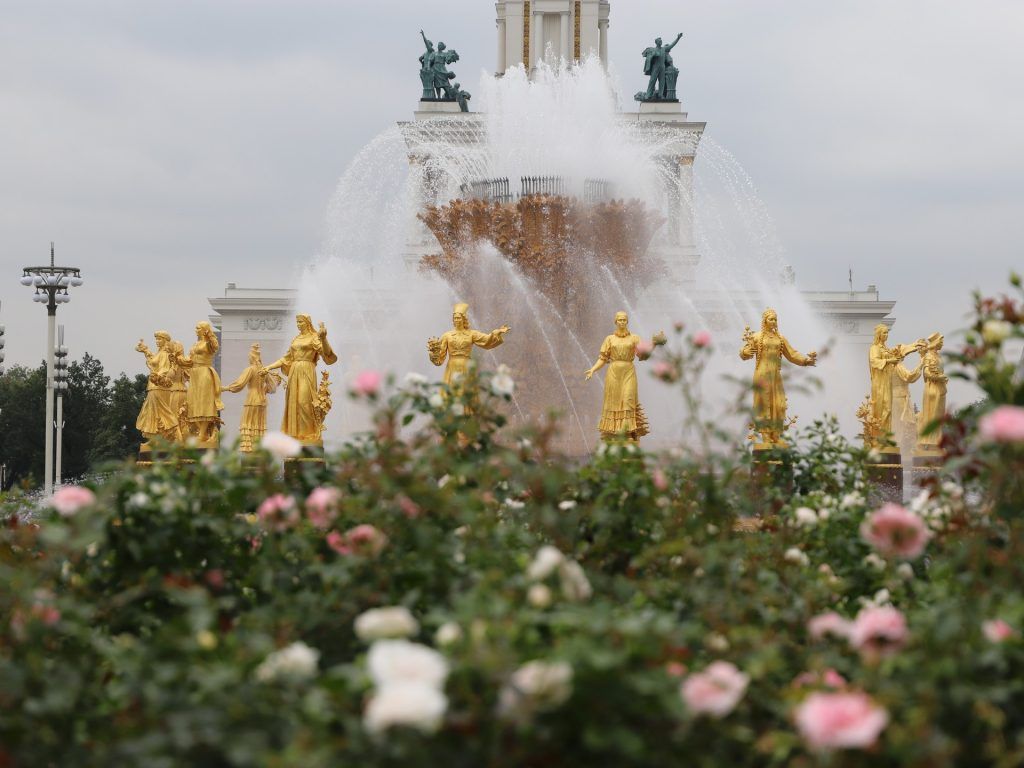 роза, ВДНХ, украшение Москвы, цветы