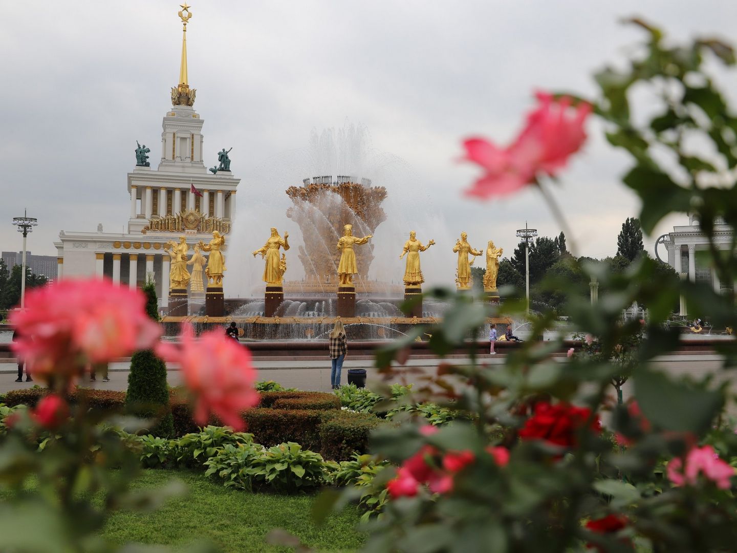 роза, ВДНХ, украшение Москвы, цветы