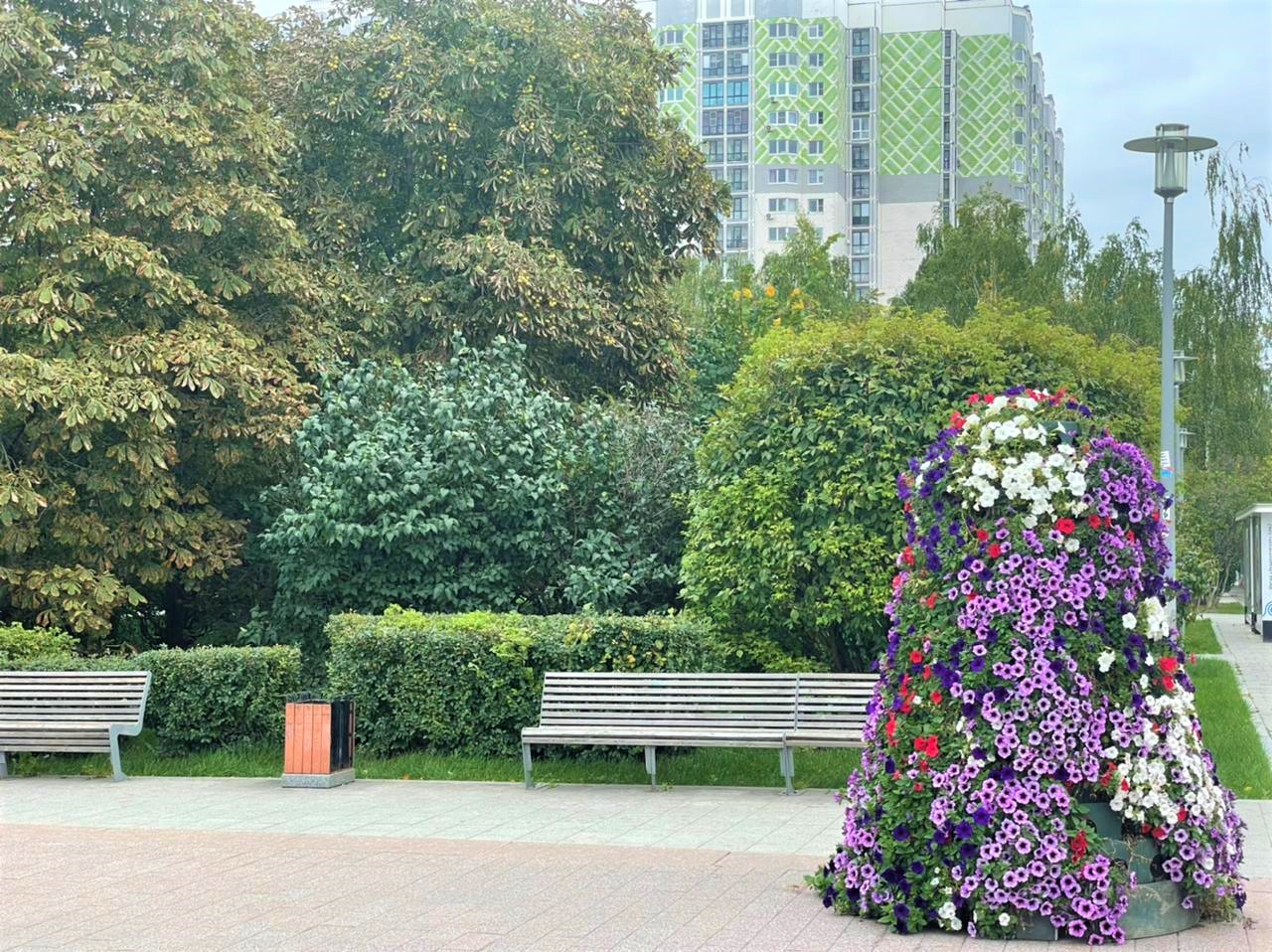 сквер, благоустройство