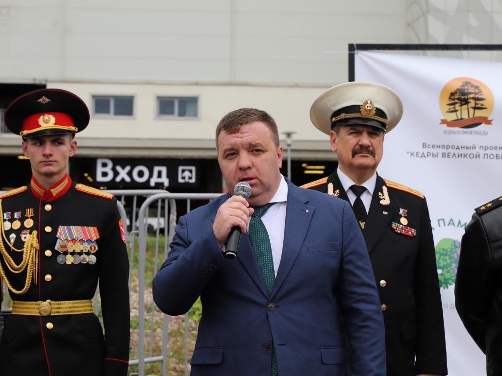 аллея славы, кедры, благоустройство, озеленение