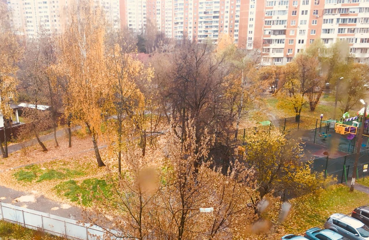 осень, погода