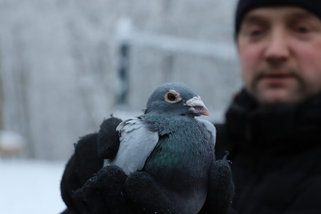 голубятня, парк Яуза