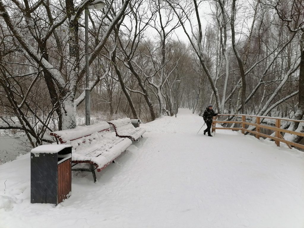 зима, снег, парк