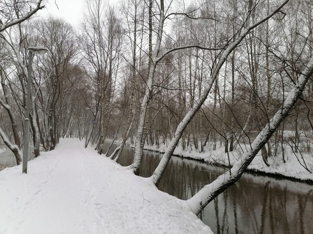 зима, снег, парк