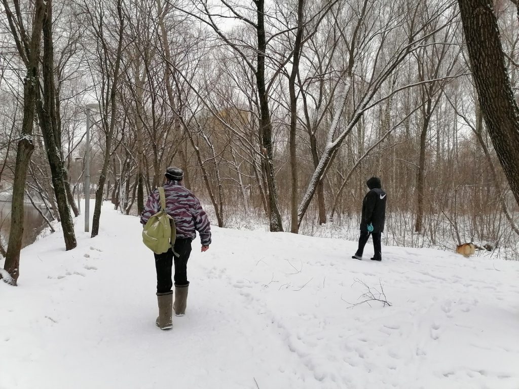 зима, снег, парк