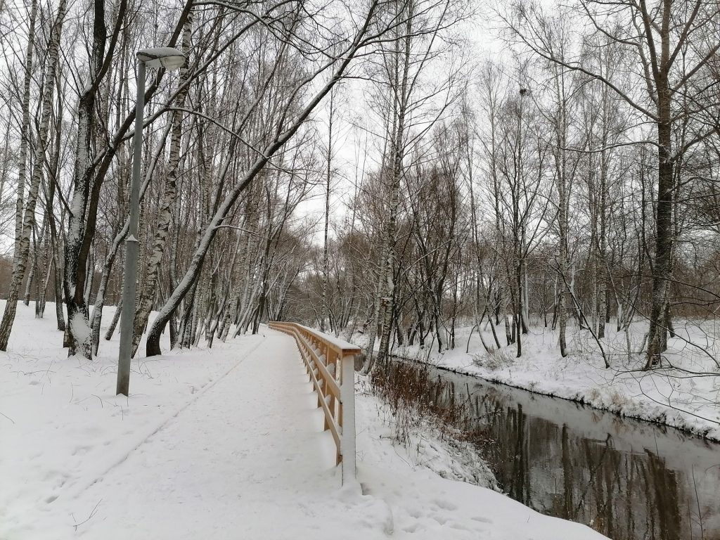 зима, снег, парк