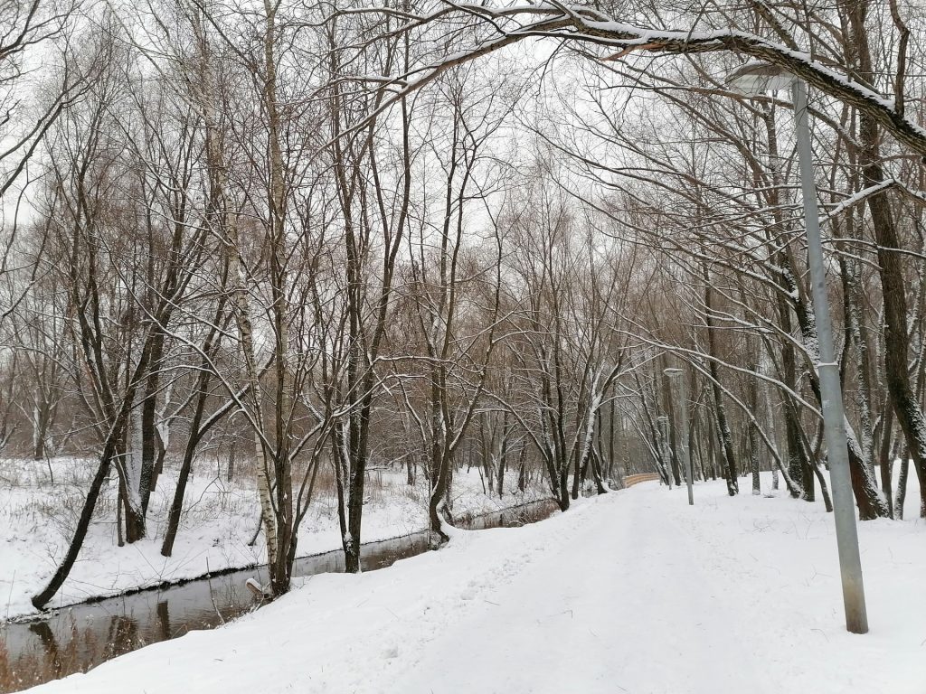зима, снег, парк