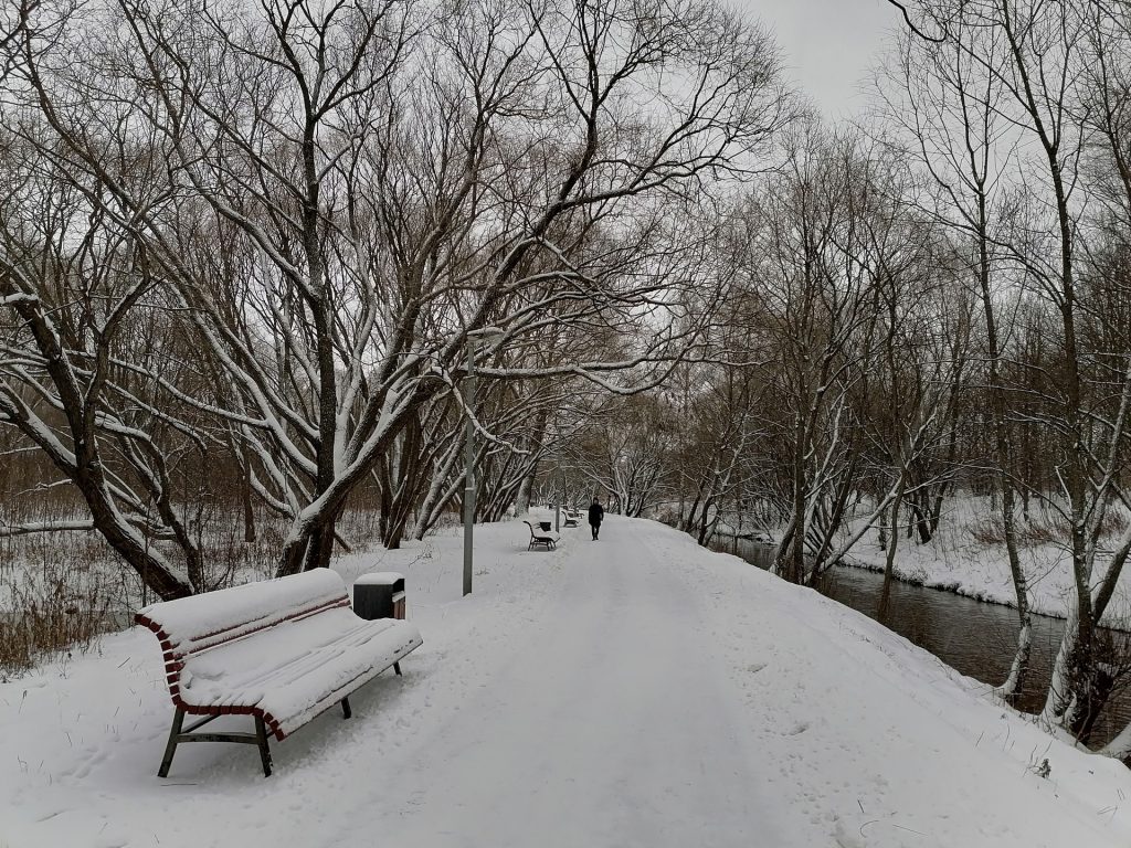 зима, снег, парк