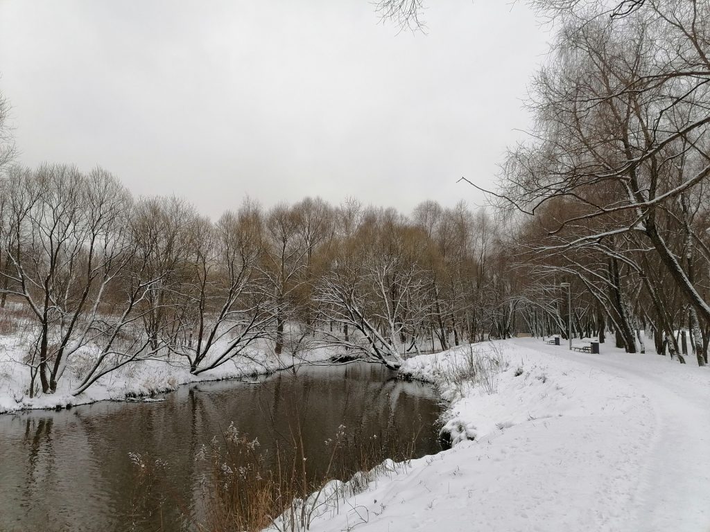 зима, снег, парк