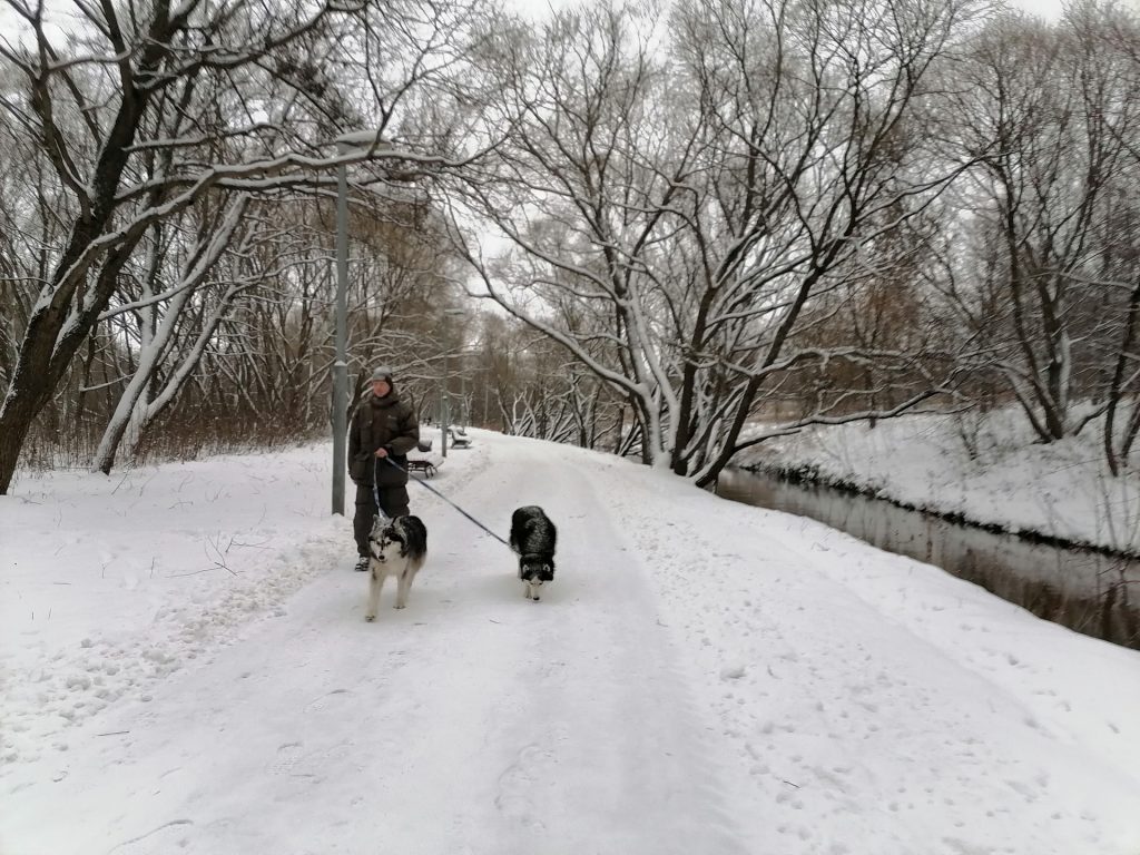 зима, снег, парк