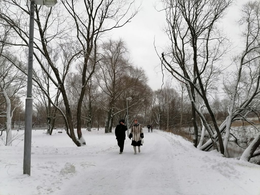 зима, снег, парк