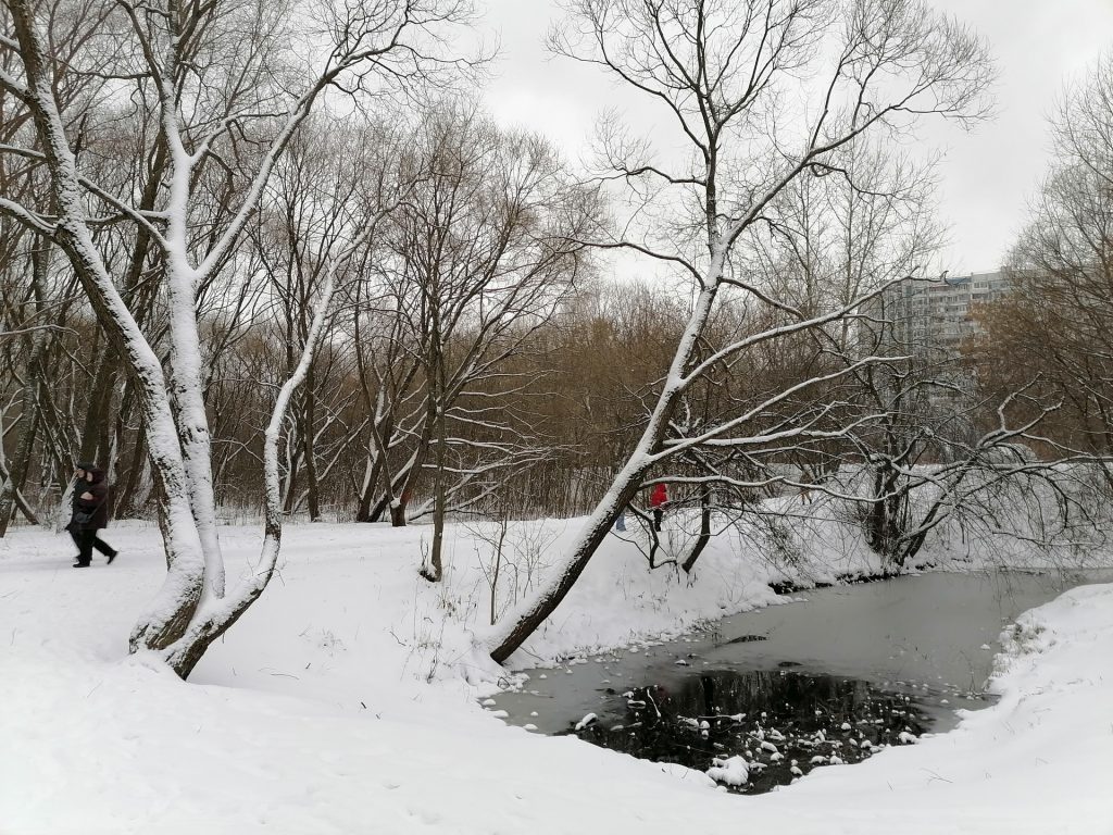 зима, снег, парк
