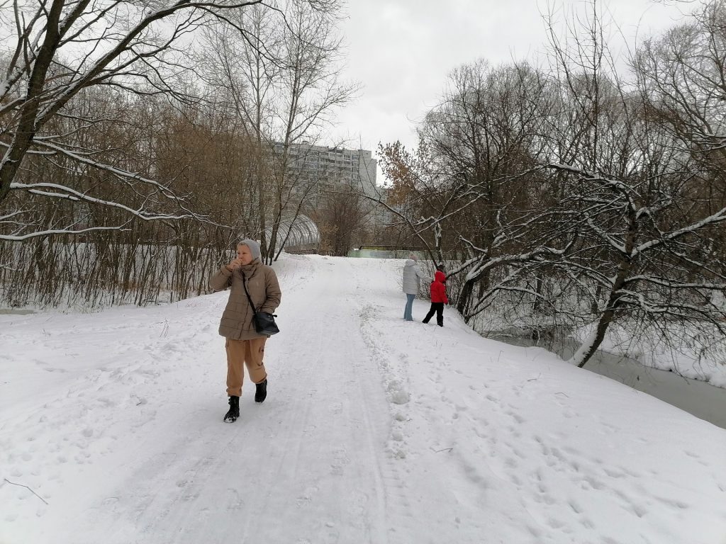 зима, снег, парк
