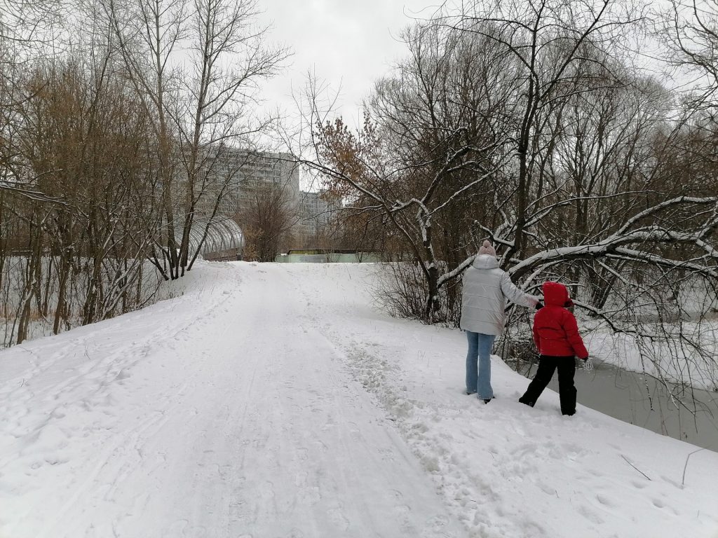 зима, снег, парк