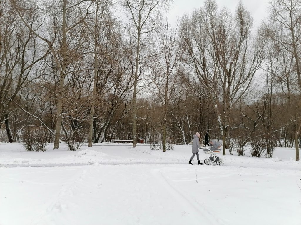 зима, снег, парк