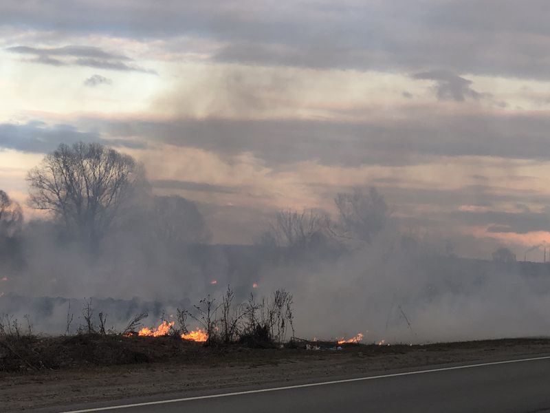пожар, трава, пал травы
