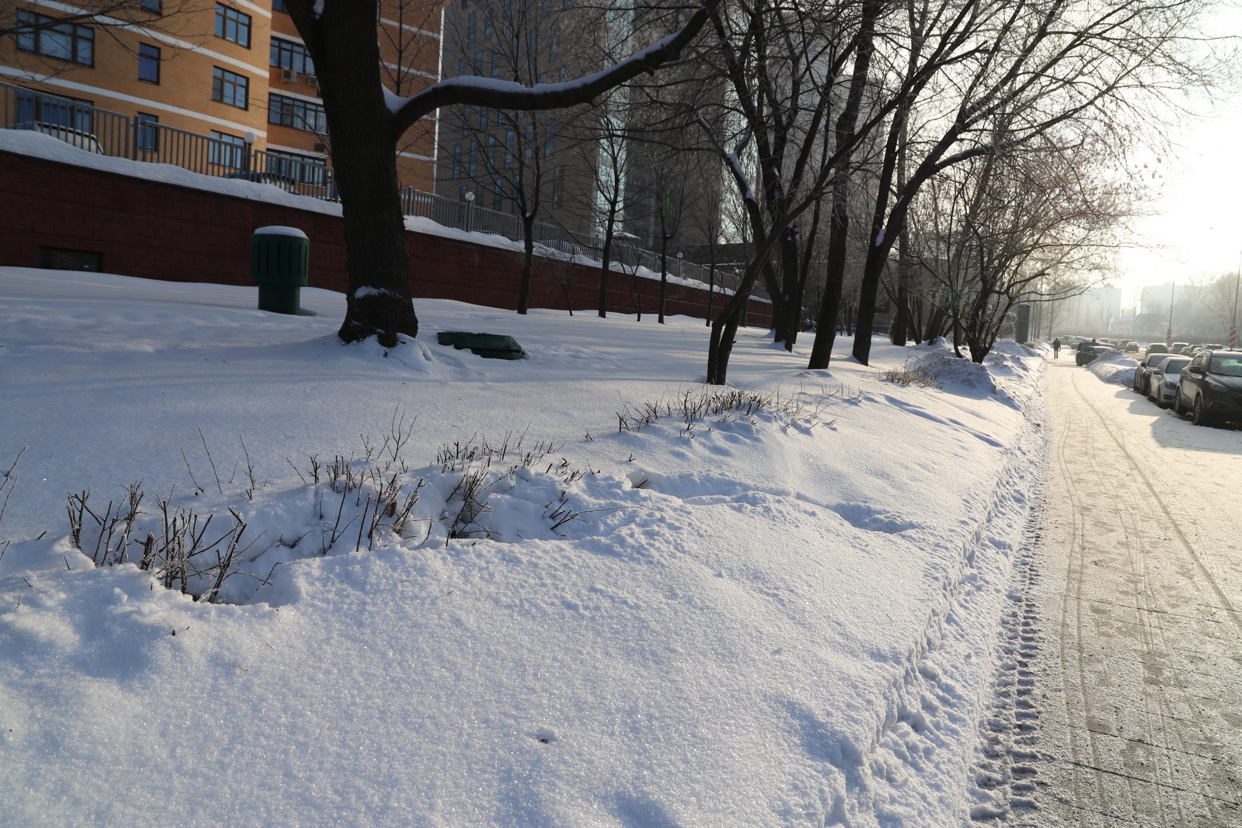 БКЛ Новаторская, благоустройство, метро. Фото Юлии Смагринской