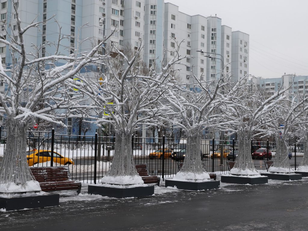 зима, каток, украшение. Фото Юлии Смагринской