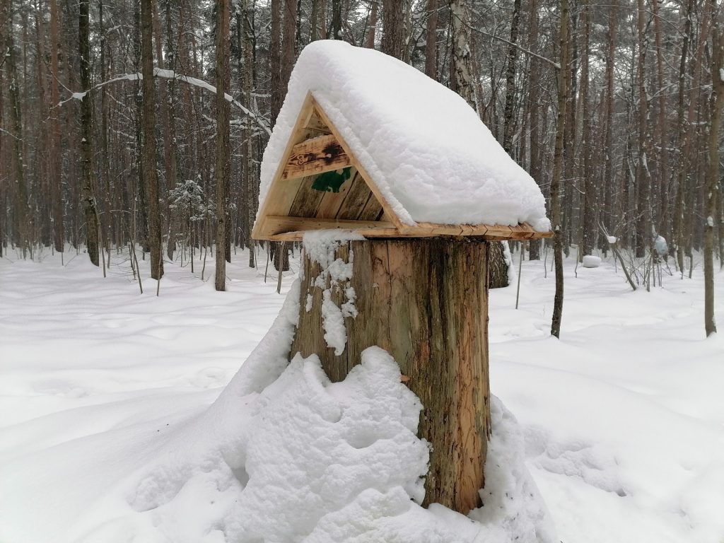 лыжня, парк, Тимирязевский парк, снег, лес, фото Юлии Смагринской
