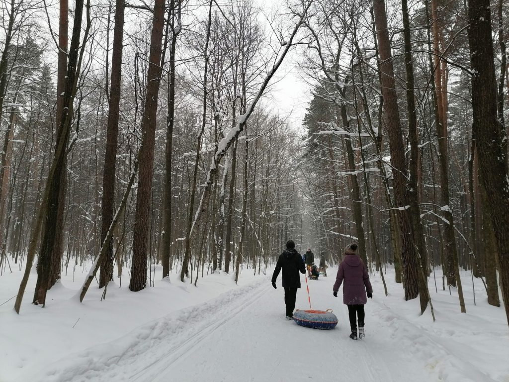 лыжня, парк, Тимирязевский парк, снег, лес, фото Юлии Смагринской