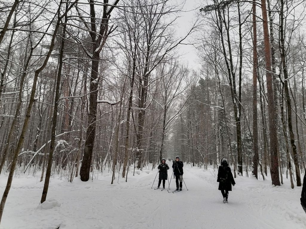 лыжня, парк, Тимирязевский парк, снег, лес, фото Юлии Смагринской