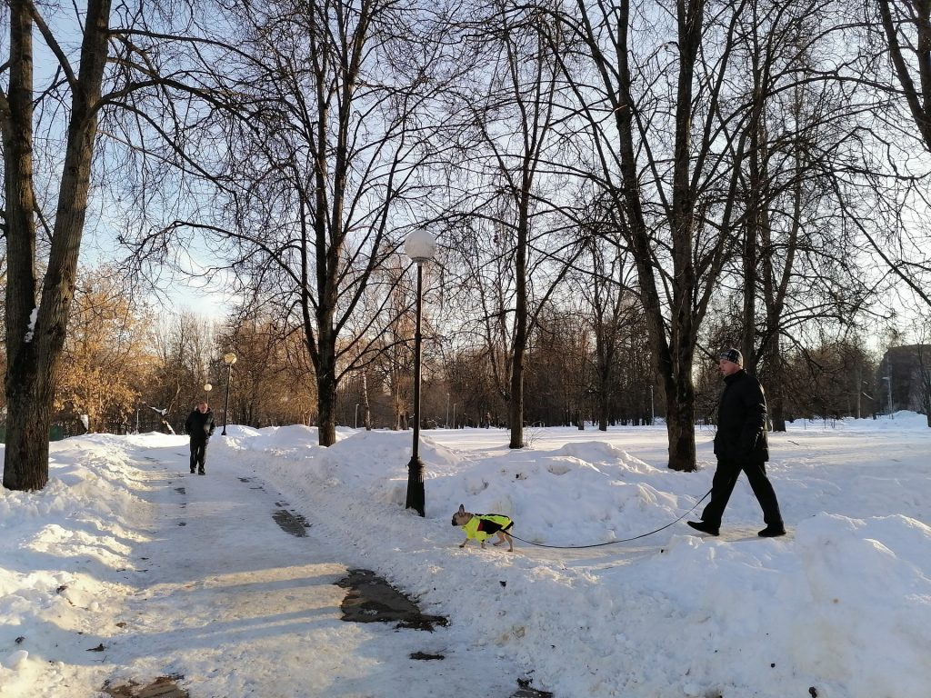 парк Зюзино, парки Москвы, зима, снег, Фото Юлии Смагринской