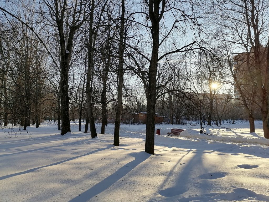 парк Зюзино, парки Москвы, зима, снег, Фото Юлии Смагринской