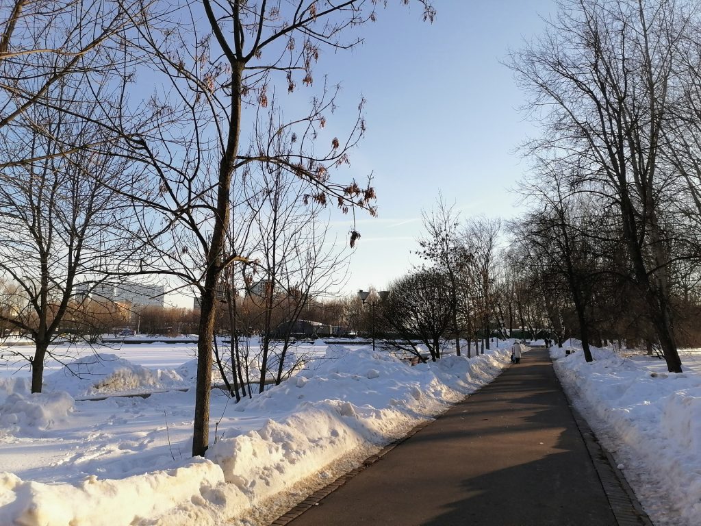 парк Зюзино, парки Москвы, зима, снег, Фото Юлии Смагринской