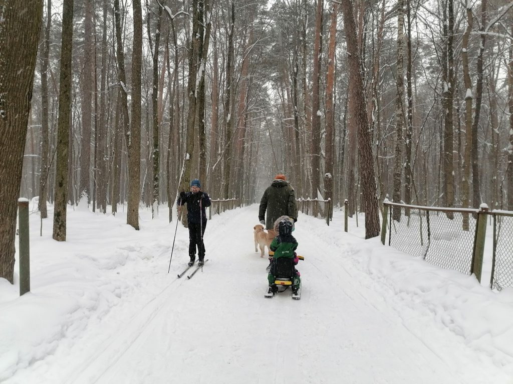 лыжня, парк, Тимирязевский парк, снег, лес, фото Юлии Смагринской