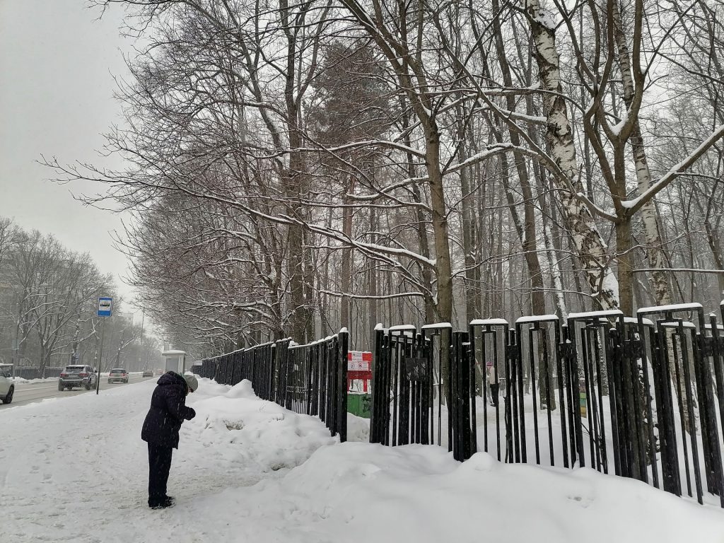 лыжня, парк, Тимирязевский парк, снег, лес, фото Юлии Смагринской