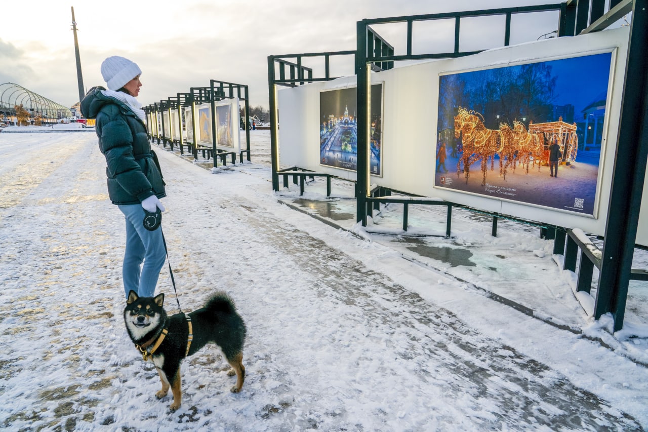 фотовыставка на Поклонной горе, КГХ