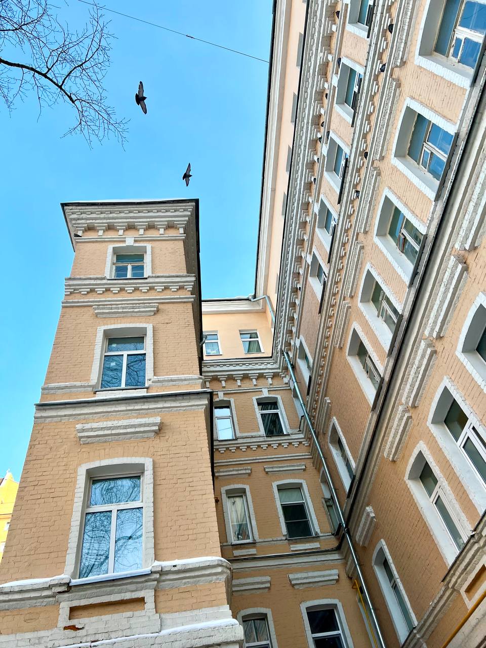 Долгоруковская улица 35, капремонт, дом Смирновых-Мартиросовых