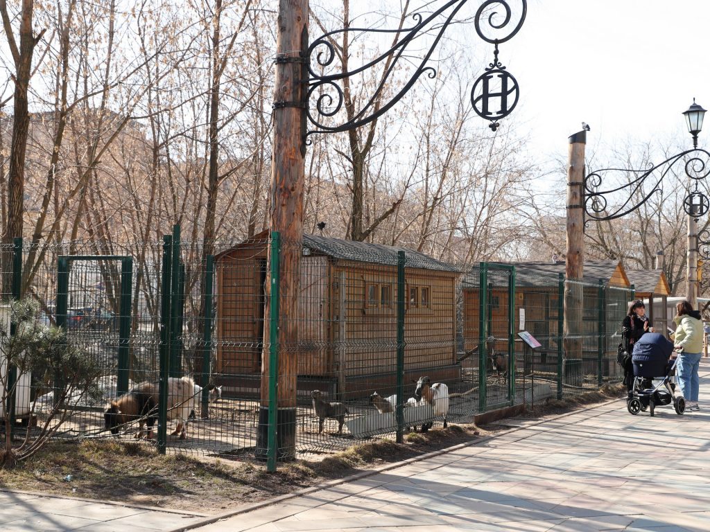 Войковский район, козы, мини-зоопарк, Невский парк, парки Москвы, фото Юлии Смагринской