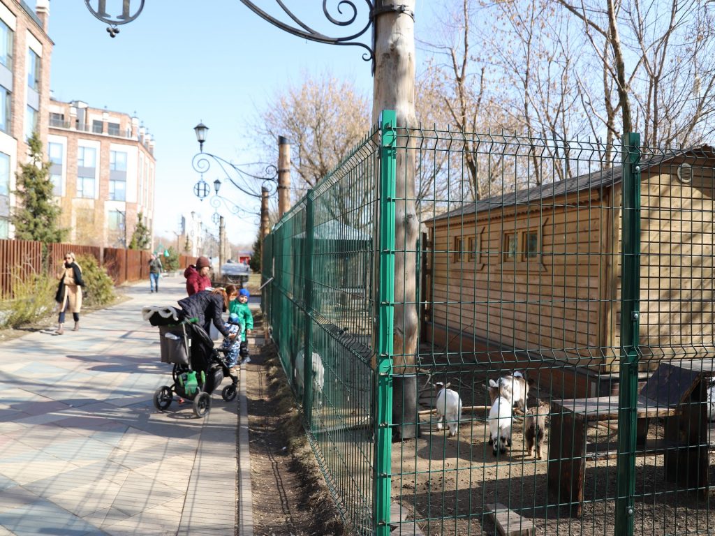 Войковский район, козы, мини-зоопарк, Невский парк, парки Москвы, фото Юлии Смагринской